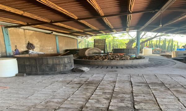 ¡APROVECHA!  EN VENTA